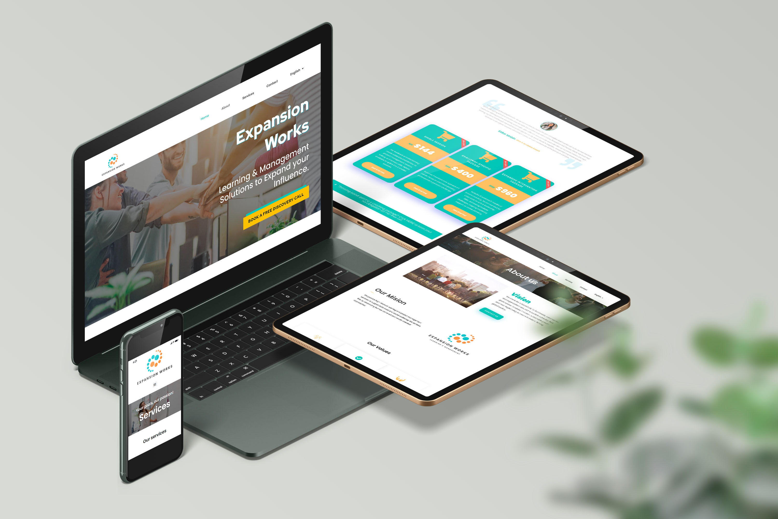 Example of Professional Full Wordpress Web Design 