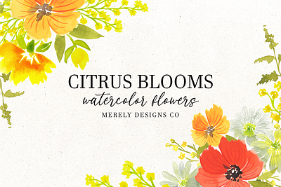 Citrus Blooms Watercolor Flowers botanical celebration citrus clipart digital downloads floral flowers graphic design greenery illustrations orange painting pngs red thank you watercolor watercolor flowers watercolor illustration wedding yellow
