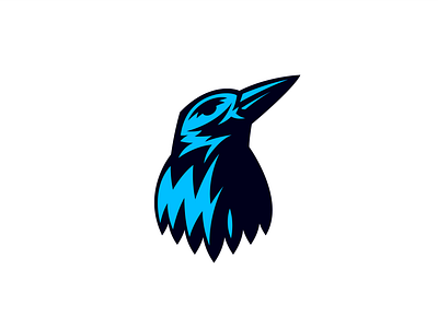 Raven animal bird black branding crow geometry graphic design icon illustration logo mark minimalist modern nature night simple sport technology wild wings