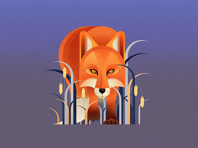 Fox. One more piece of nature affinity designer animal animal illustration character design digital illustration flat forest fox fox art fox illustration fox poster graphic design illustration nature poster vector