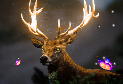 Deer With Golden Horn and Glow Butterfly animation butterfly deer glow glow butterfly golden horn photoshop reindeer sprinkel