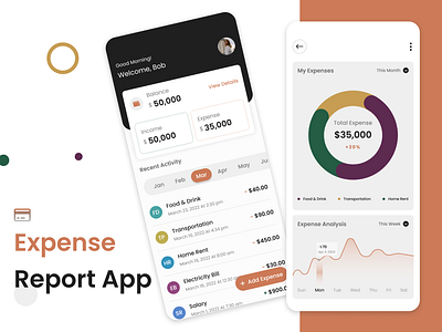 Expense Report App application expenseapp ios ui ux