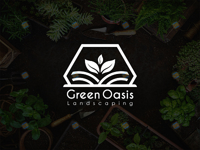 Landscaping logo design "Green Oasis" brand branding creative design firm garden geometric icon illustration landscaping logo logodesign logotype minimal symbol vector