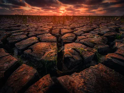 Extreme Drought in the Netherlands
