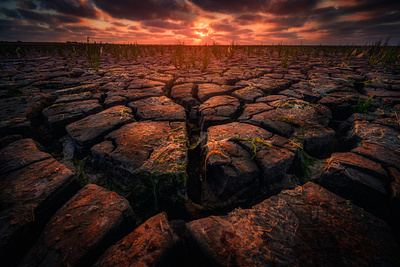 Extreme Drought in the Netherlands