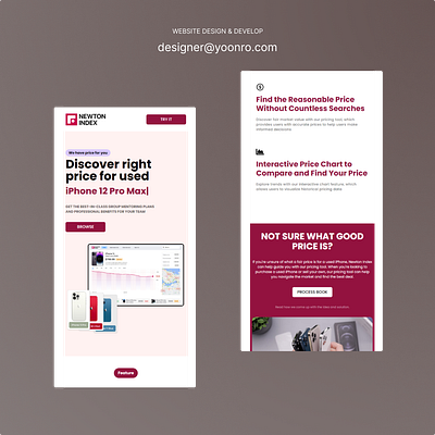 Newton Index - landing page - design&dev branding design frontend marketing ui uiux ux webdesign webdev website