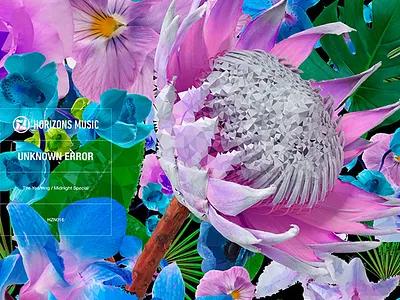 Vinyl Sleeves 2009-2018