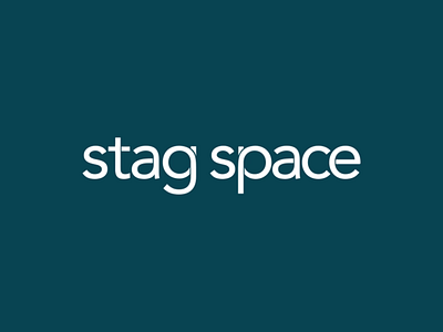 Stag Space - Logo Animation logo logo animation motion graphics sri lanka