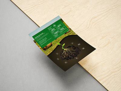 GROWSEEDS & EuroVector+ — Leaflet Design a4 advertising agriculture agro art brand branding brochure design farming fertilizers flyer graphic design identity leaflet logo marketing print tipography typography