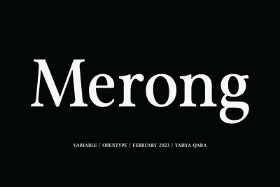 Merong Family (24 Fonts) brand branding design font font family fonts graphic design logo logo design serif font serif typeface type typeface ui ui design variable variable font