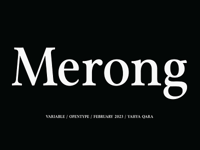 Merong Family (24 Fonts) brand branding design font font family fonts graphic design logo logo design serif font serif typeface type typeface ui ui design variable variable font