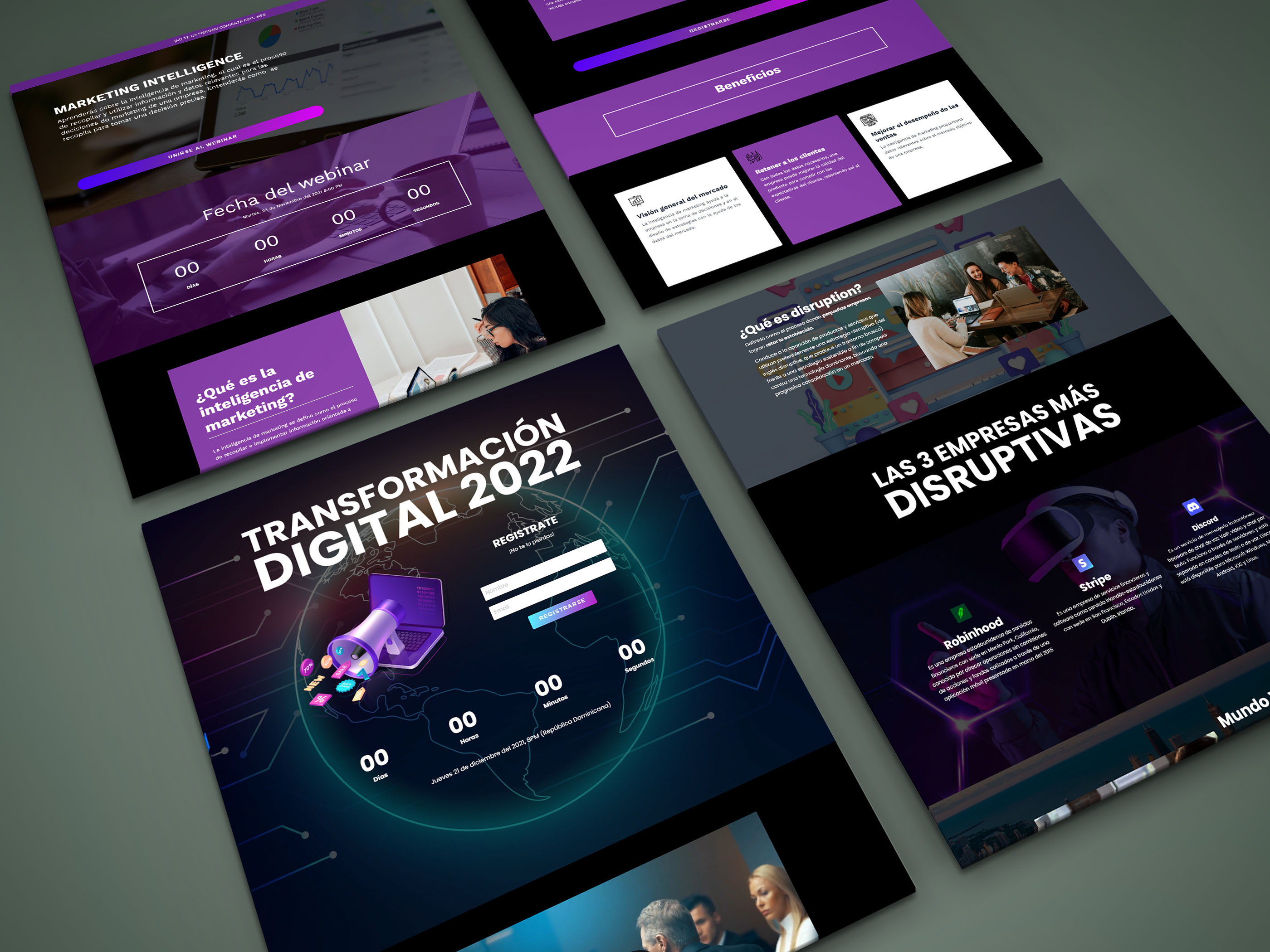 Example of Professional Full Wordpress Web Design 