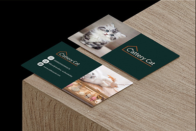 Business Card Design branding graphic design logo typography vector