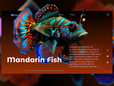 Fish Website concept design figma nature site ui ux web webdesign webs website
