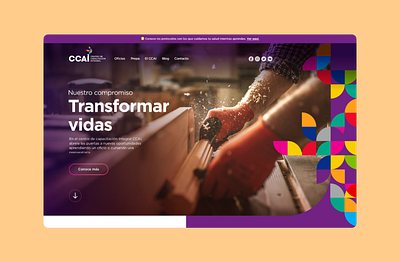 CCAI | Website design illustration ui ux vector web design