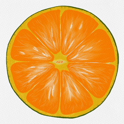 Orange wheel illustration