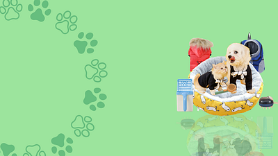 Shopify Banner for pet store app