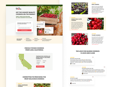 Chinchiolo Farming | Landing Page Design conversion rate optimization cro cro design cro strategy design figma graphic design landing page landing page design