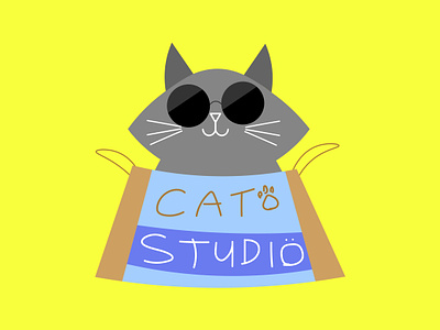 Cool Cat cat cat in bag cat on bag cat studio cat with glasses cool cat