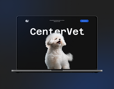 Landing Page for Vet Clinic animation design landing page ui ux vet clinic web design