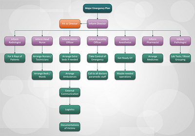 Organization Chart / Organograms graphic design organization chart organogram process flow