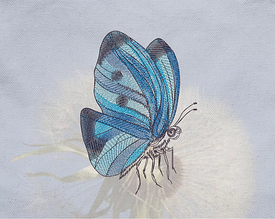 Blue butterfly drawing Machine embroidery design butterfly embroidery embroidery design embroidery digitizer embroidery digitizing embroidery digitizing company nature ui