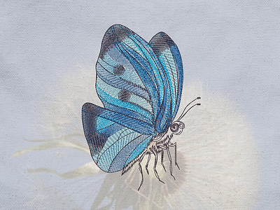 Blue butterfly drawing Machine embroidery design butterfly embroidery embroidery design embroidery digitizer embroidery digitizing embroidery digitizing company nature ui