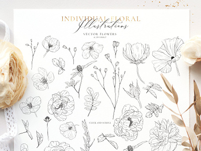 Wildflowers-Pencil sketch collection