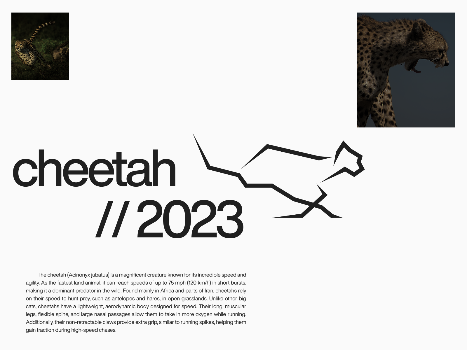 ARTbuburit Logo Day 0.15 animal black branding cheetah color design graphic design grey ikon illustration logo logoinspiration logomark logotype speed vector white