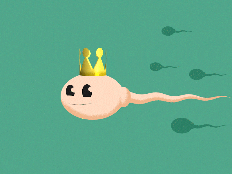 Animation crown sperm animation design graphic design illustration motion graphics vector