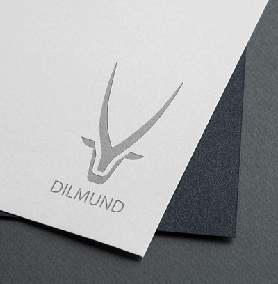 DILMUND Brand Identity branding design graphic design illustration logo