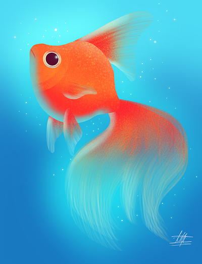 Goldfish Illustration art illustration