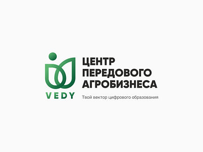 Logo VEDY branding logo
