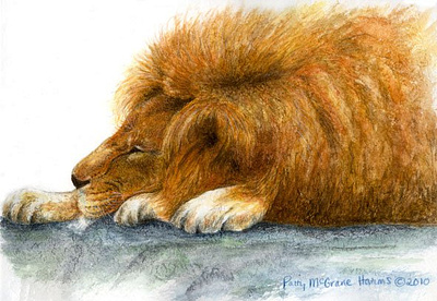 Resting Giant - Watercolor study of a Lion illustration lion spot illustration watercolor painting zoo