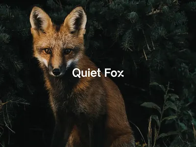 Quiet Fox Logo Concept brand design brand identity branding fox graphic design identity design logo logo concept modern typography visual identity x