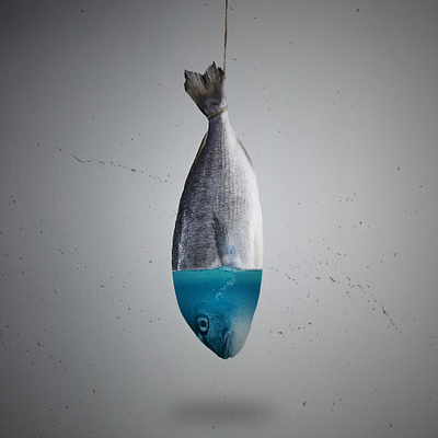 Fish in drought photo manipulation