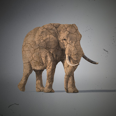 Elephant in drought photo manipulation design graphic design manipulation photoshop