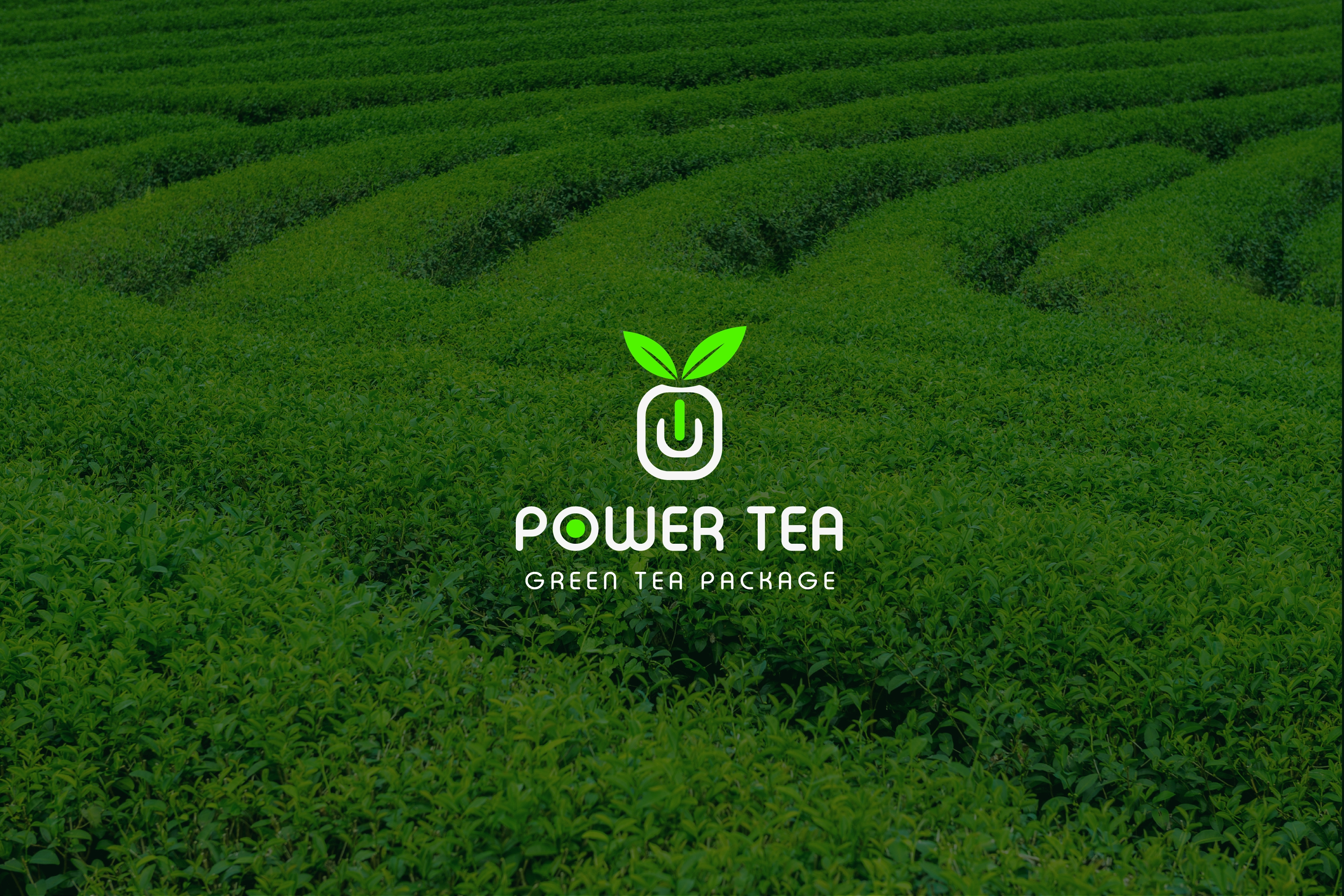 Tea brand logo design concept brand identity branding design dubai logo logo design logo designer logo mark logos minimal logo modern logo newyork tea branding tea logo uae usa