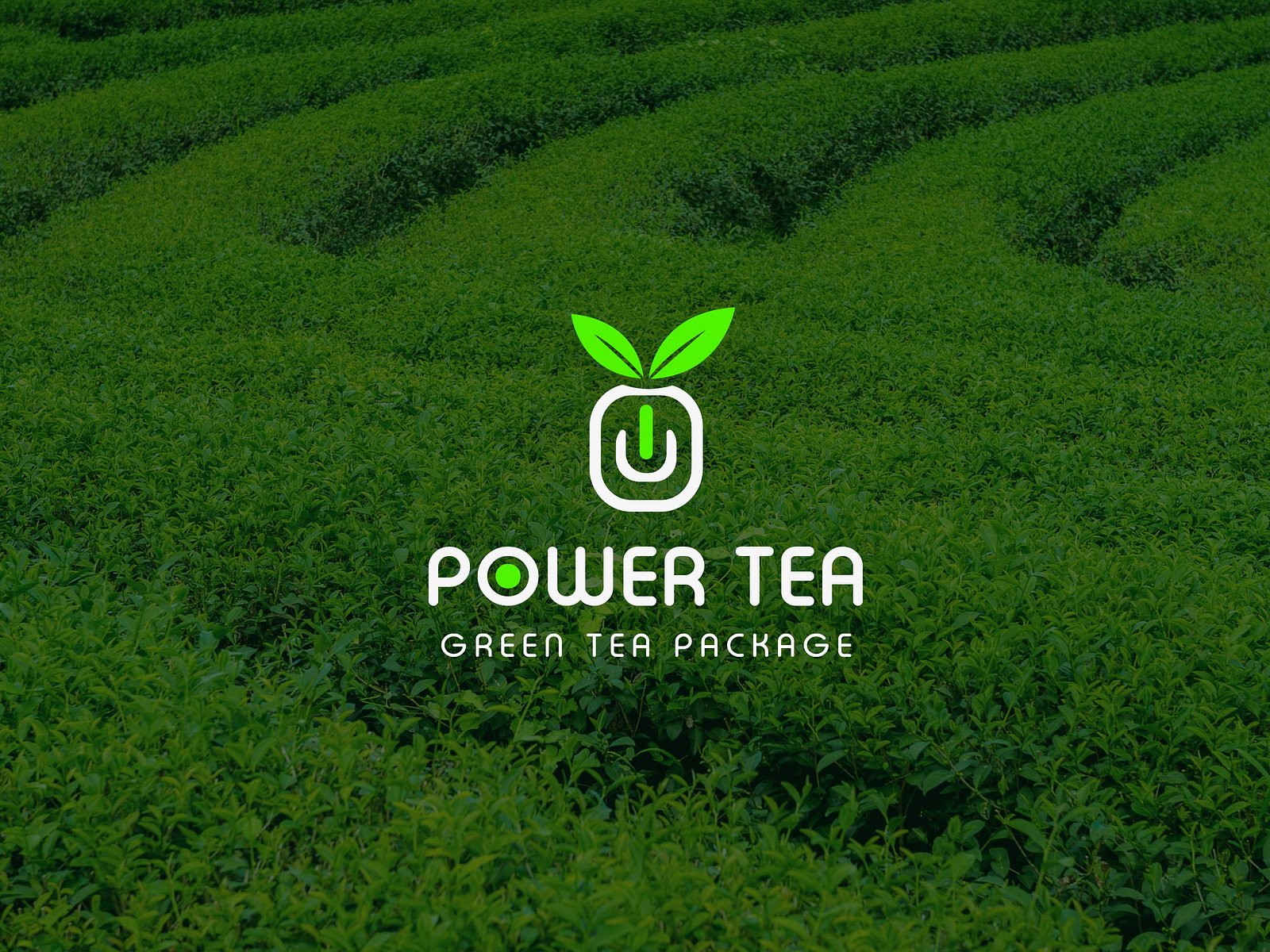 Tea brand logo design concept by Rashed Khan on Dribbble