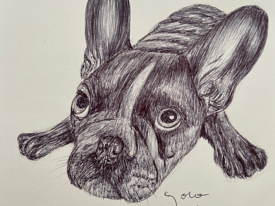 Ballpen Dog 🐩 ballpen bulldog design dog drawing illustration sketch