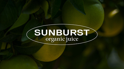 SUNBURST organic juice branding and label propositions. app branding design graphic design illustration logo typography ui ux