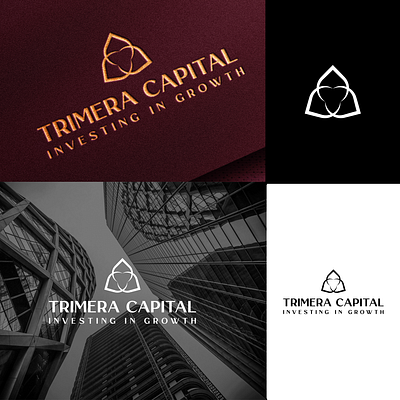 Trimera capital logo Branding branding graphic design logo logodessign minimalistic
