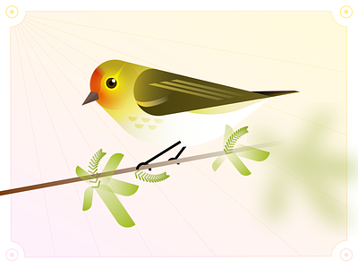 Birds & Flowers 5/24 Fire-capped Tit bird graphic design