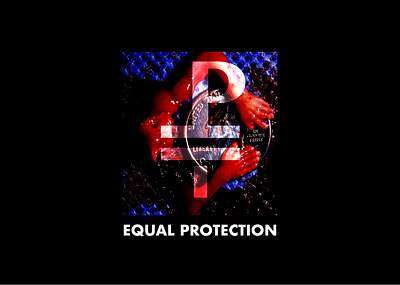 Equal Protection Symbol = + P