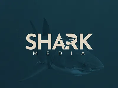 Shark Media branding graphic design illustration logo stationary vector website design