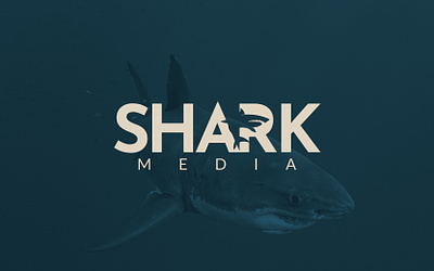 Shark Media branding graphic design illustration logo stationary vector website design