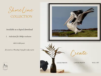ShoreLine Collection branding design digital graphic design illustration photography posters wallart
