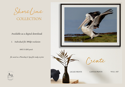 ShoreLine Collection branding design digital graphic design illustration photography posters wallart