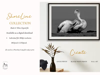 ShoreLine Collection B&W branding graphic design illustration photography posters wallart
