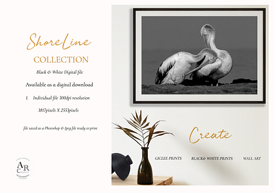 ShoreLine Collection B&W branding graphic design illustration photography posters wallart